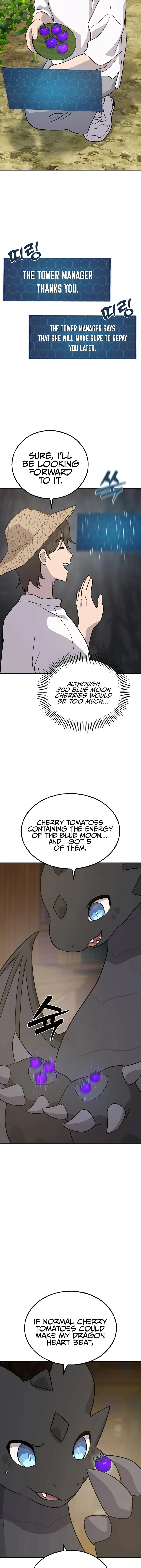 Solo Farming In The Tower Chapter 31 Page 17